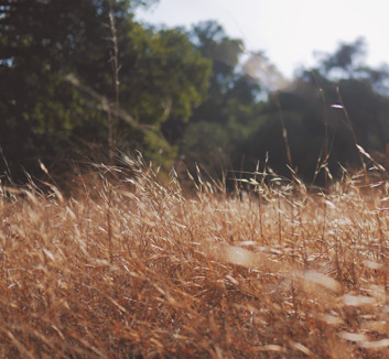 广州恒大在主场一战成功击败重庆队，豪取三分