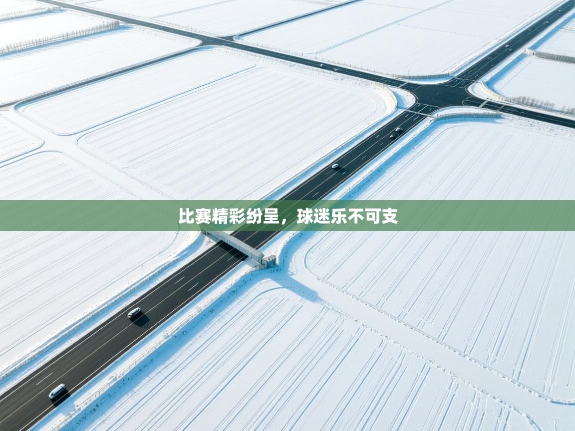 比赛精彩纷呈，球迷乐不可支