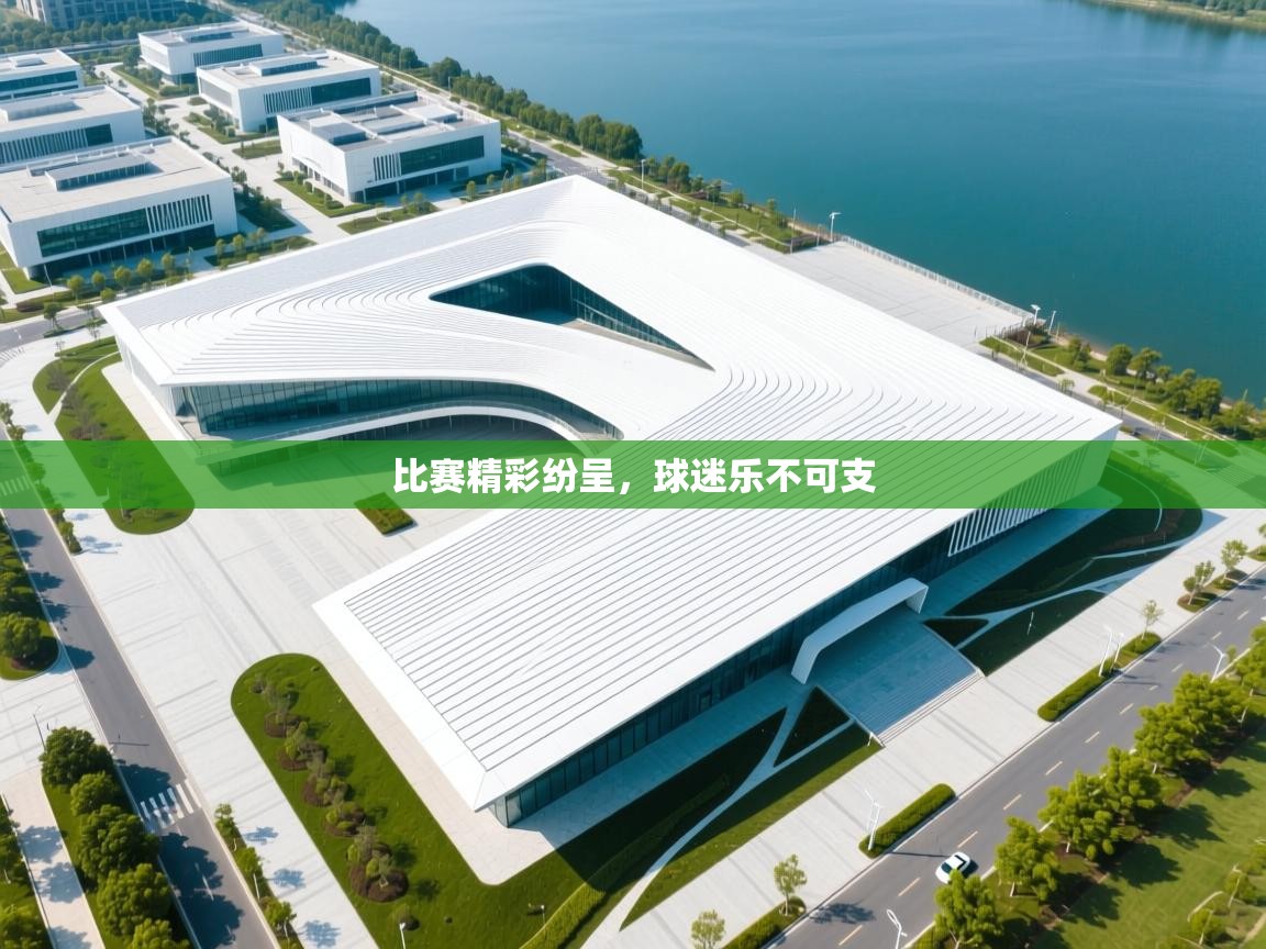 比赛精彩纷呈，球迷乐不可支  第2张